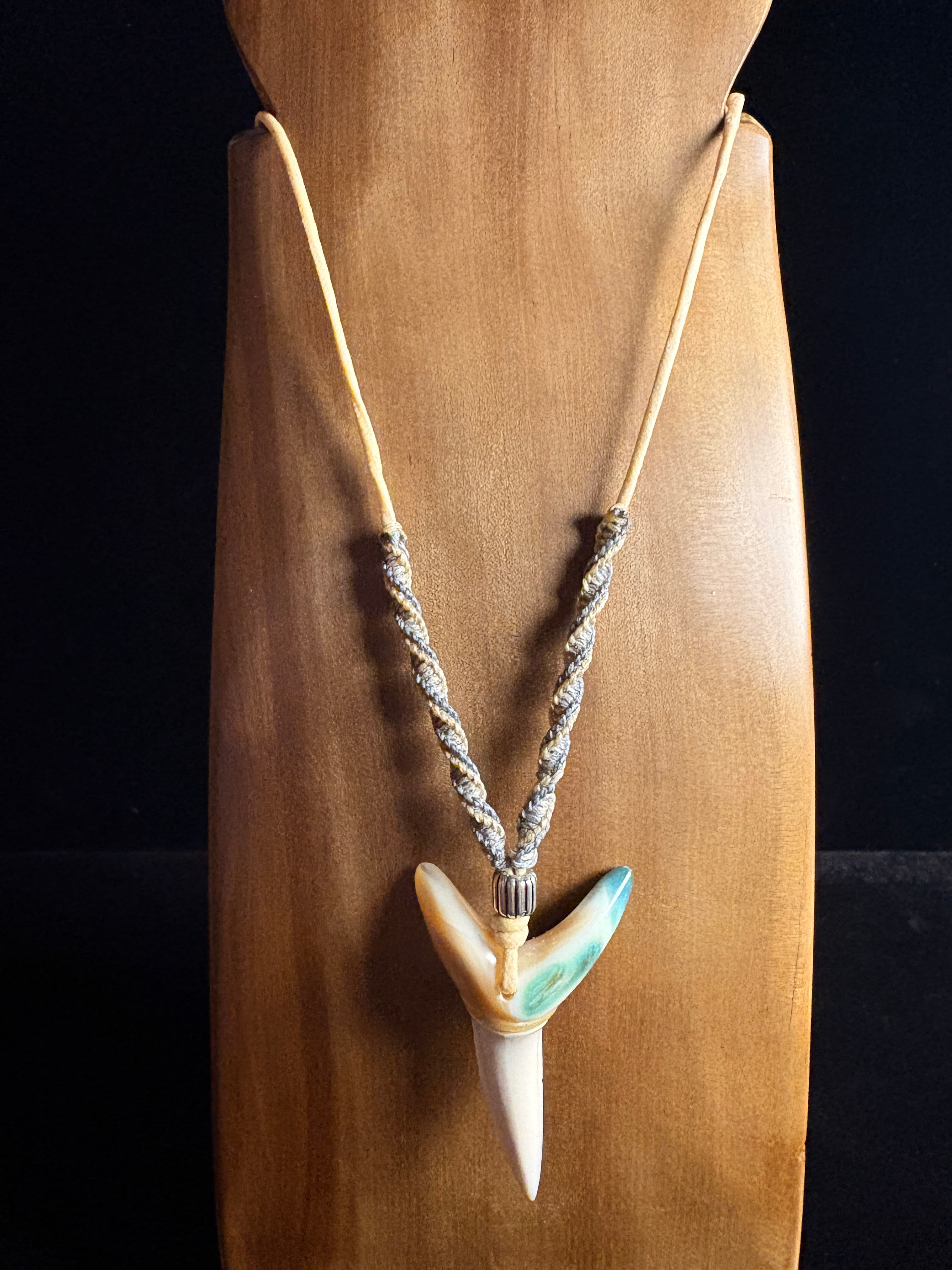 THE APEX TOOTH - SYMBIOSIS